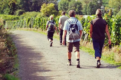 Sip & Trek: A Tuscan Wine Hiking Adventure Through Chianti's Charm