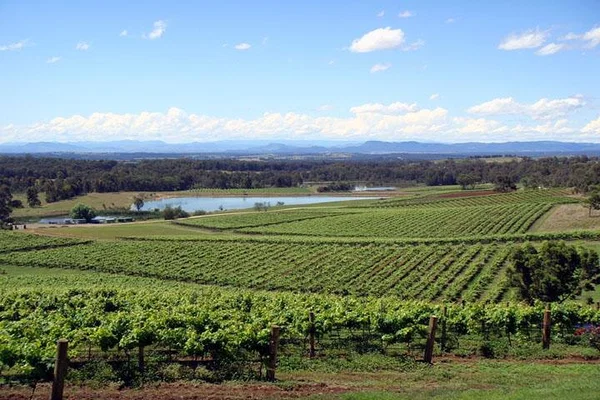 Hunter Valley Unveiled: A Luxurious Private Wine-Tasting Escape from Sydney