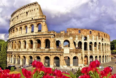 Unearth Ancient Rome: Colosseum, Arena & Underground Private Tour