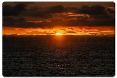 Venice Beach: Capture Stunning Photos on a Private Walking Tour