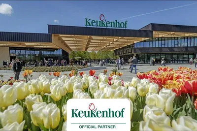Unlock Keukenhof's Floral Paradise: A Private Tulip Tour from Amsterdam