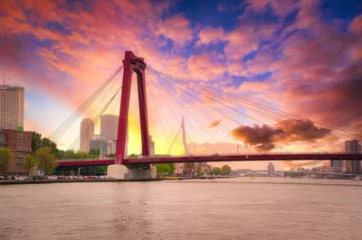 Romantic Rotterdam: A Lover's Stroll Through Iconic Landmarks