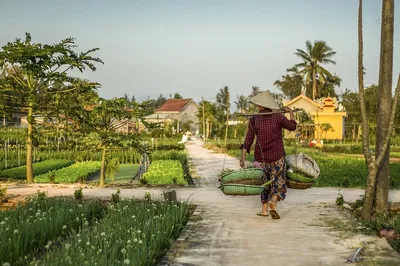 Hoi An: Spirit Lantern Quest Walking Adventure