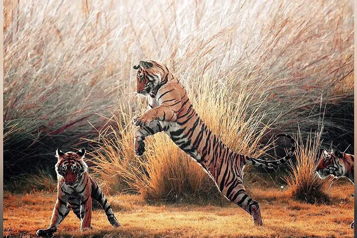 img0