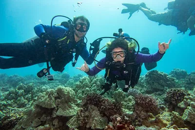 Oahu's Shallow Reef Dive: Discover Hawaii's Underwater Wonders!
