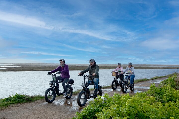 Cruise the New Forest Coastline on Retro E-Bikes: An Unforgettable Adventure