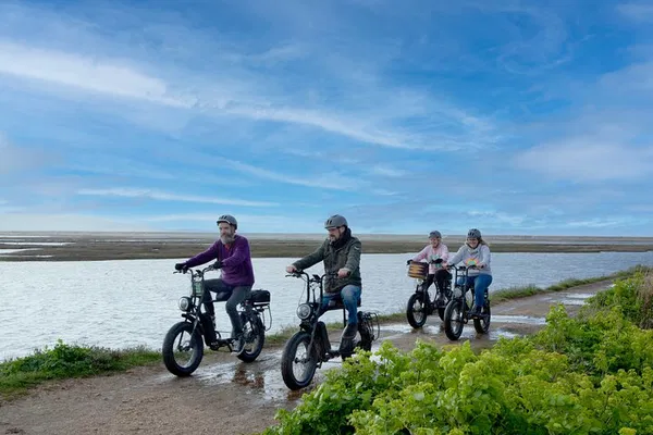 Cruise the New Forest Coastline on Retro E-Bikes: An Unforgettable Adventure