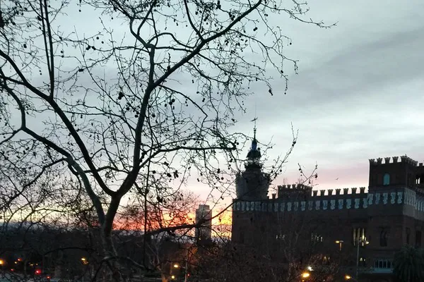 Salsa Rhythms & Vermouth Vibes: Dance into Barcelona's Heart!