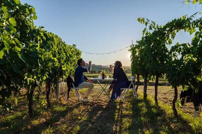 Savor Authentic Umbrian Flavors: A Winery Lunch Experience