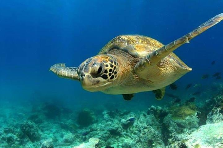 Experience Image img2