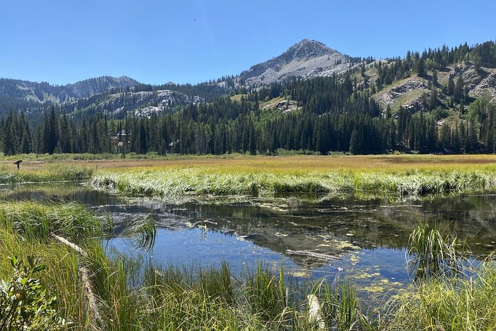 Experience Image img4