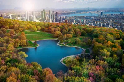 Montreal's Best: Small Group City Tour with Local Taste