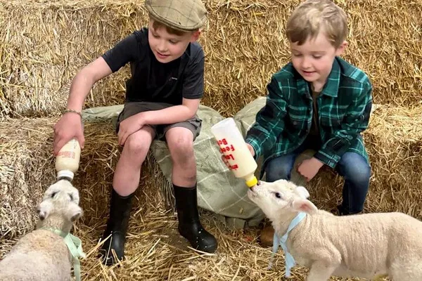 Bottle Feed Baby Lambs: A Heartwarming Farm Experience near Pendle Hill