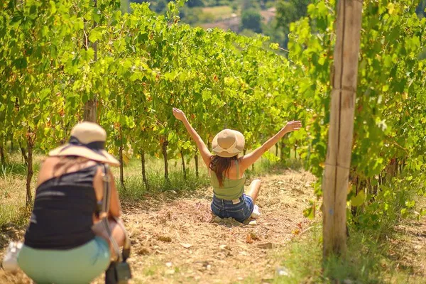 Escape to Tuscan Vineyards: A Half-Day Wine Adventure from Florence