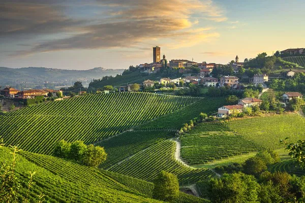 Barolo & Barbaresco Wine Tour from Milan: Taste Piedmont