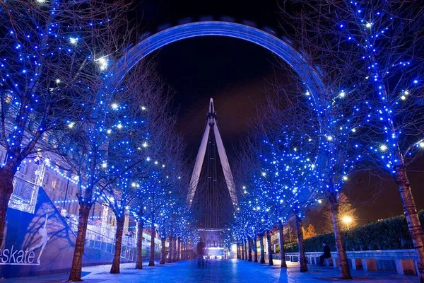 Enchanting London Christmas Lights Night Bus Tour