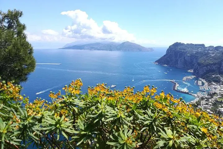 img0