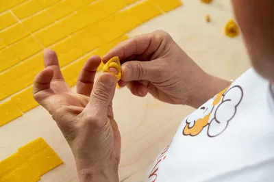 Parma Pasta Perfection: Private Cooking Class & Tasting at a Cesarina's Home