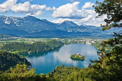 Discover Slovenia: Bled & Ljubljana Private Tour from Koper