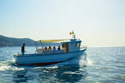 Capri Fishing Tour from Sorrento: Coastal Life Awaits!