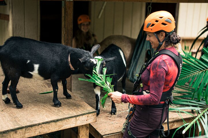 Experience Image img4