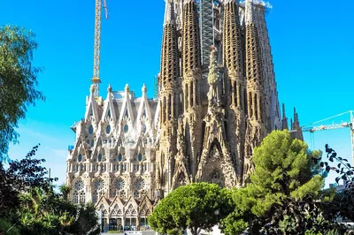 Barcelona's Best: Sagrada Familia Tour with Priority Access