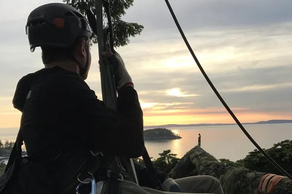 Reach New Heights: Sunset Canopy Climb on Lopez Island