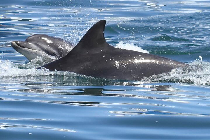 Experience Image img3