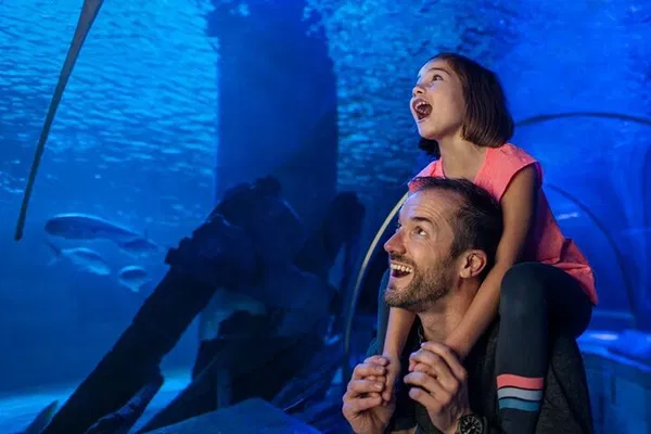 Dive into Wonder: Explore SEA LIFE San Antonio's Underwater World!