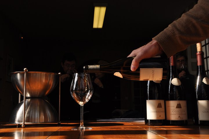 Burgundy Wine Tour: 10 Premiers & Grands Crus Tasting