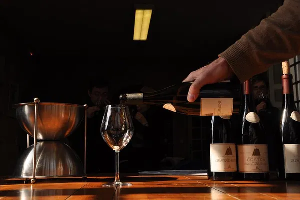 Burgundy Wine Tour: 10 Premiers & Grands Crus Tasting