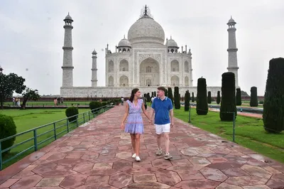 Sunrise Taj Mahal & Elephant Sanctuary: All-Inclusive Delhi Tour