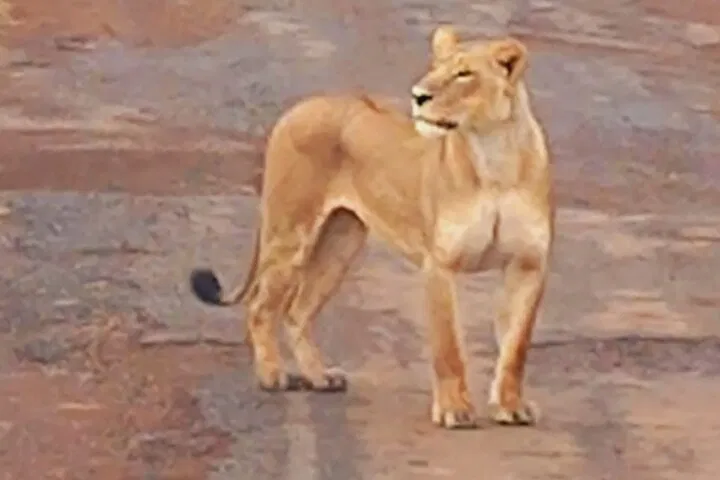 img0