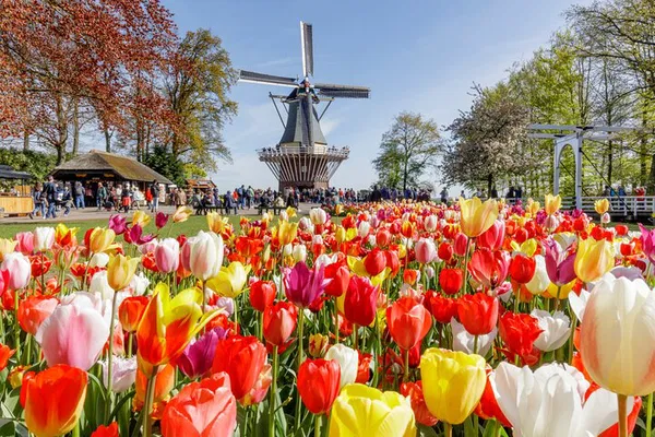 Keukenhof Gardens: Skip-the-Line Tulip Experience