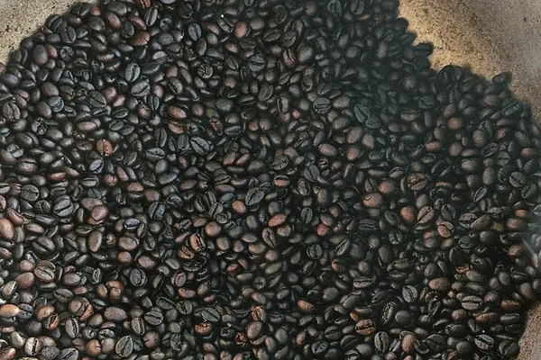 Punta Cana: Cacao, Coffee & Cigar Farm Workshop