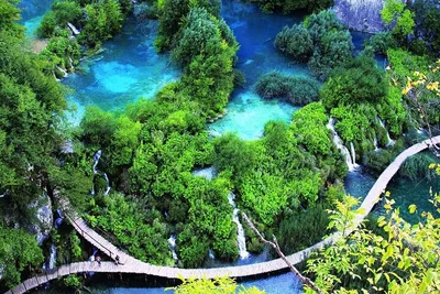 Discover Bach Ma National Park: A Trekking Adventure in Nature's Paradise