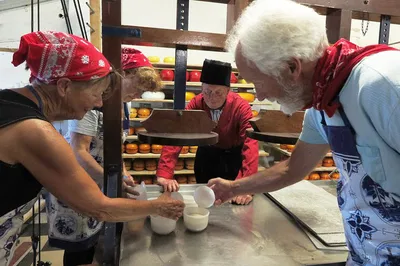 Craft Your Own Cheese: Farmhouse Cheesemaking Workshop in Belize