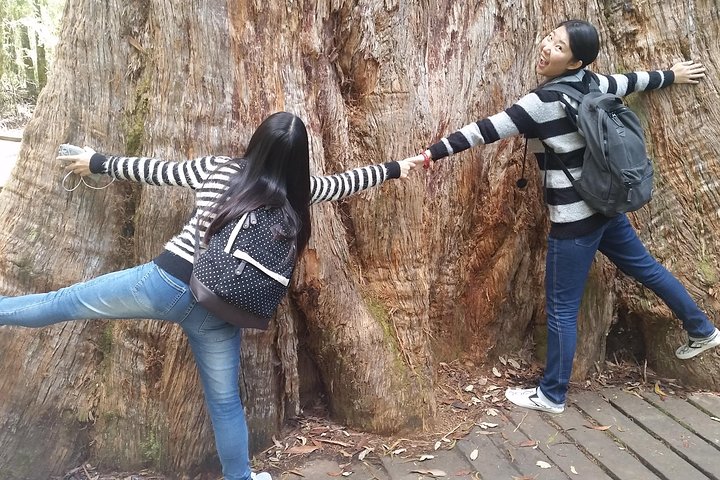 Experience Image img3