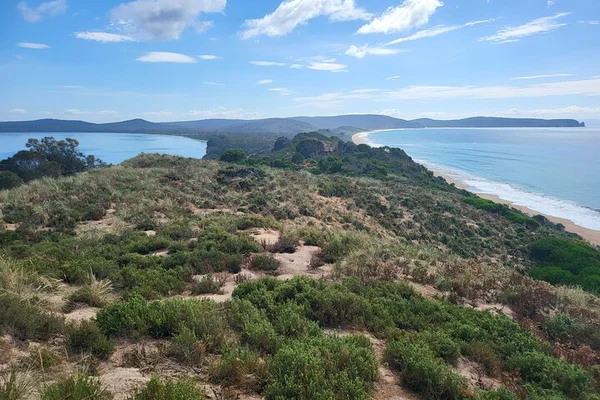 Bruny Island: A Gourmet Foodie & Scenic Adventure from Hobart