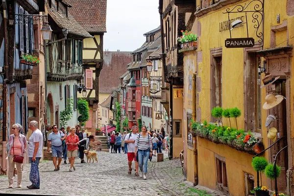 Alsace Villages & Wine: Private Day Trip from Strasbourg