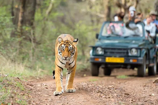 Rajasthan Adventure: 4-Day Agra, Ranthambore & Jaipur Tiger Tour