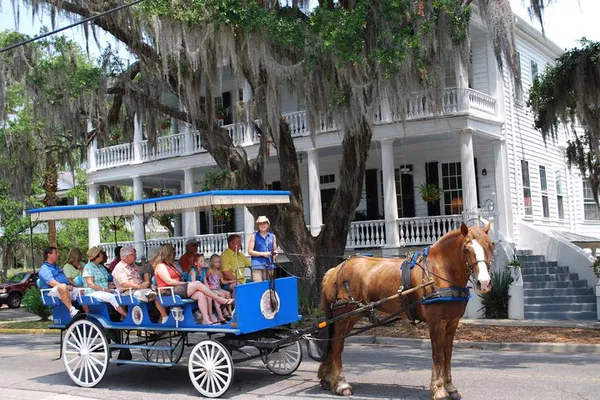 Beaufort's Historical Charm: A Relaxing Horse-Drawn Carriage Tour