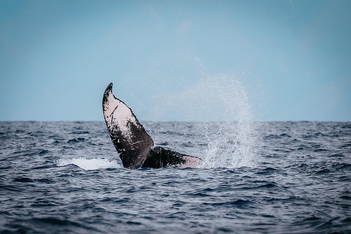 Experience Image img4