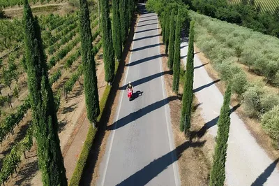 Chianti Vespa Rental: Ride Tuscany's Hills All Day!