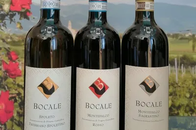 Discover Montefalco Wines: An Artisanal Tasting Experience at Bocale