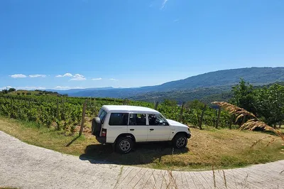 Uncover Istria's Hidden Gems: A Private Coastal Wine & Food Adventure