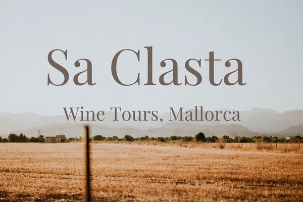 Discover Mallorca's Hidden Gems: An Exclusive Wine Tour Adventure