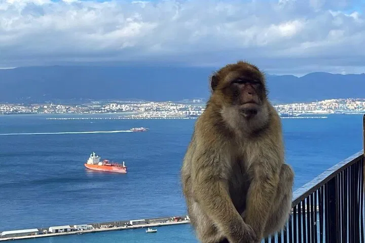 img0
