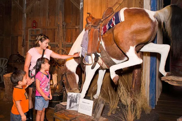 San Antonio's Wild West: Buckhorn Saloon & Texas Ranger Adventure!