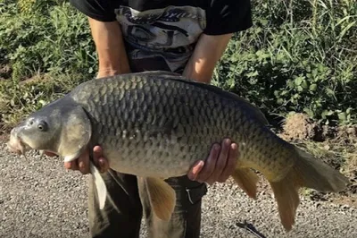 Strasbourg Fishing Adventure: Unwind by the Water!